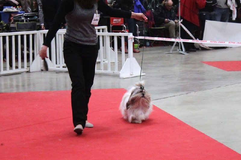 En expositions
